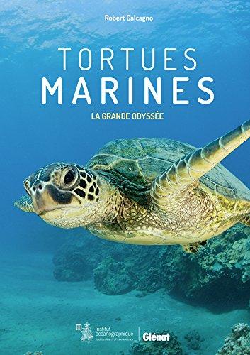 Tortues marines : la grande odyssée