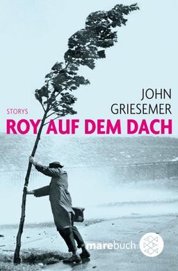 Roy auf dem Dach: Storys