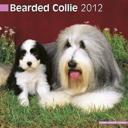 Kalender 2012 Bearded Collie - Beardie