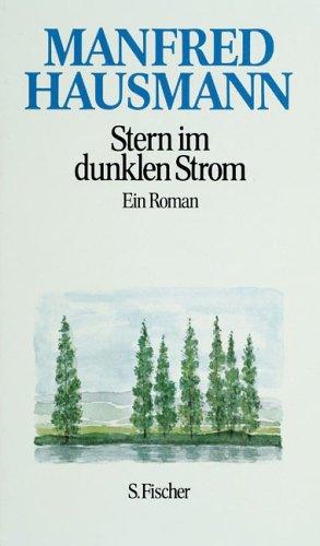 Stern im dunklen Strom. Ein Roman