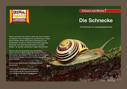 Kamishibai: Die Schnecke: 10 Fotobildkarten für das Erzähltheater (Fotobildkarten Kamishibai)