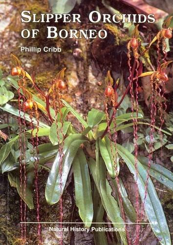 Slipper Orchids of Borneo