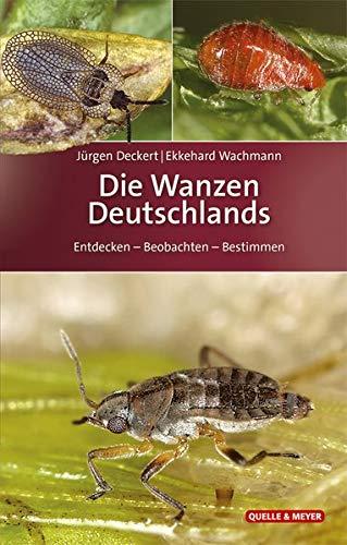 Die Wanzen Deutschlands: Entdecken – Beobachten – Bestimmen (Quelle & Meyer Bestimmungsbücher)