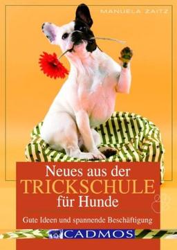 Neues aus der Trickschule für Hunde: Gute Ideen und spannende Beschäftigung