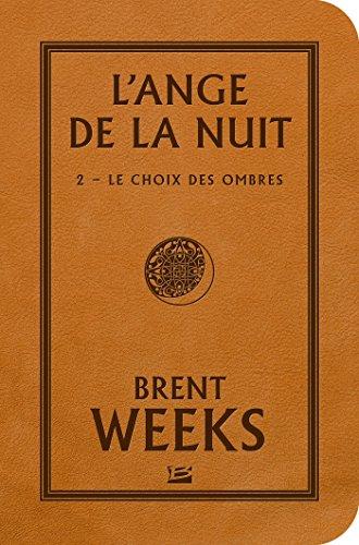 L'ange de la nuit. Vol. 2. Le choix des ombres