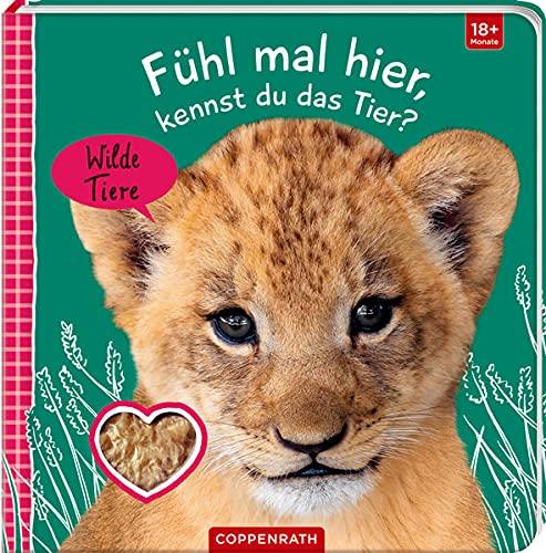 Fühl mal hier, kennst du das Tier? Wilde Tiere (Fühlen und die Welt begreifen)