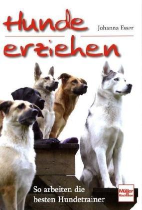 Hunde erziehen: So arbeiten die besten Hundetrainer