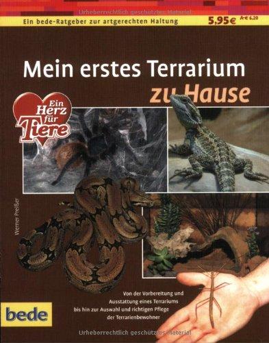 Mein erstes Terrarium zu Hause