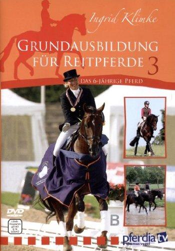 Grundausbildung für Reitpferde Teil 3: Das  6-jährige Pferd