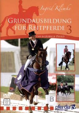 Grundausbildung für Reitpferde Teil 3: Das  6-jährige Pferd