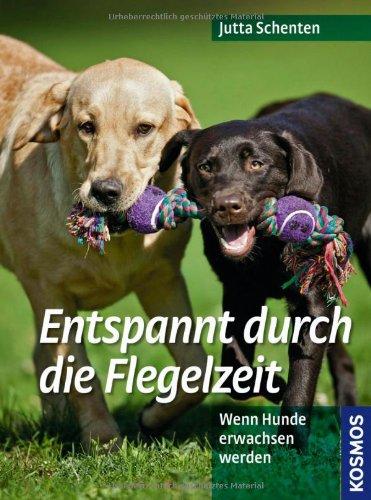 Entspannt durch die Flegelzeit: Wenn Hunde erwachsen werden