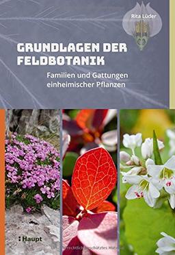 Grundlagen der Feldbotanik: Familien und Gattungen einheimischer Pflanzen