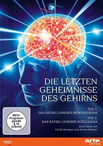 Die letzten Geheimnisse des Gehirns