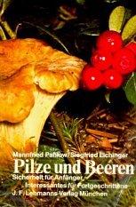 Pilze und Beeren. Sicherheit für Anfänger, Interessantes für Fortgeschrittene