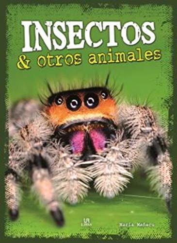 Insectos y otros animales (Reino Animal, Band 3)