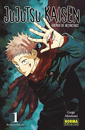 JUJUTSU KAISEN 01 (Ed. REGULAR)