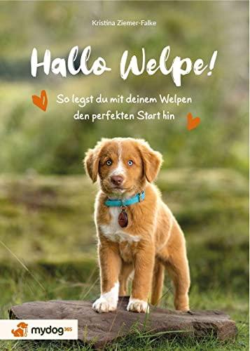 Hallo Welpe!: So legst du mit deinem Welpen den perfekten Start hin