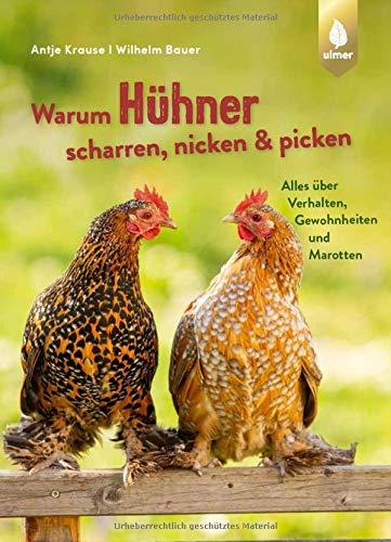 Warum Hühner scharren, nicken und picken: Alles über Verhalten, Gewohnheiten und Marotten