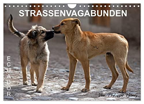 STRASSENVAGABUNDEN (Wandkalender 2024 DIN A4 quer), CALVENDO Monatskalender