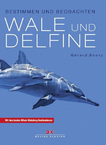 Wale und Delfine: Bestimmen und beobachten