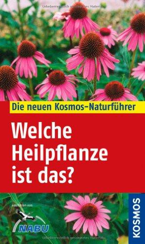 Welche Heilpflanze ist das?