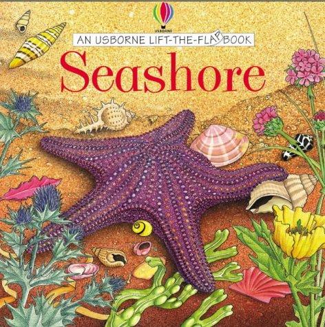 Seashore (Usborne Lift the Flap Learner S.)