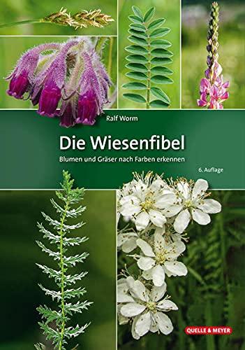 Die Wiesenfibel: Blumen und Gräser nach Farben erkennen