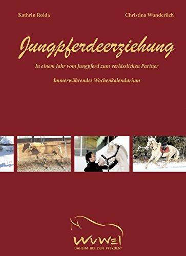 Jungpferdeerziehung