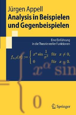 Analysis in Beispielen und Gegenbeispielen: Eine Einfuhrung in die Theorie reeller Funktionen (Springer-Lehrbuch) (German Edition): Eine Einführung in die Theorie reeller Funktionen