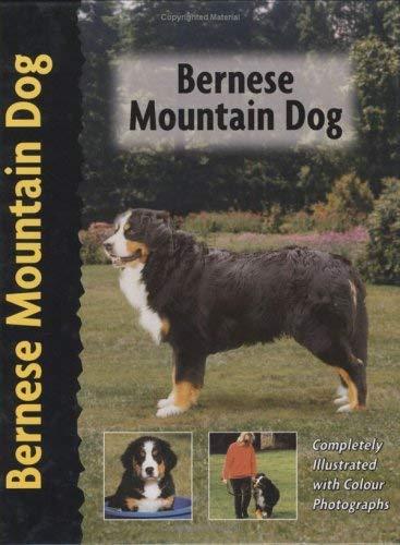 Bernese Mountain Dog (Petlove S.)