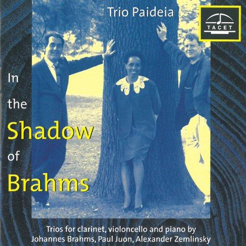 Im Schatten von Brahms