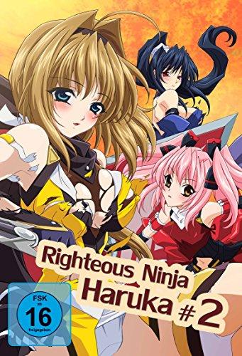 Righteous Ninja - Haruka 2