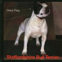 Staffordshire Bull Terrier