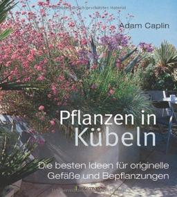 Pflanzen in Kübeln: Die besten Ideen für originelle Gefäße und Bepflanzungen