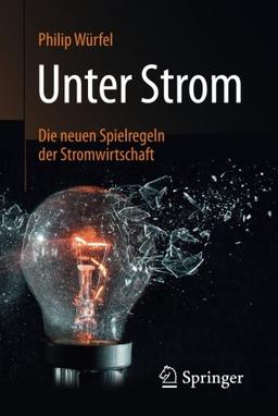 Unter Strom: Die neuen Spielregeln der Stromwirtschaft