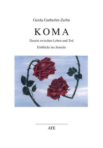 Koma: Dasein zwischen Leben und Tod. Einblicke ins Jenseits