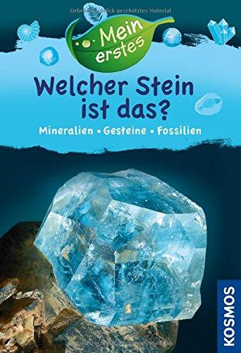 Mein erstes Welcher Stein ist das?: Mineralien, Gesteine, Fossilien