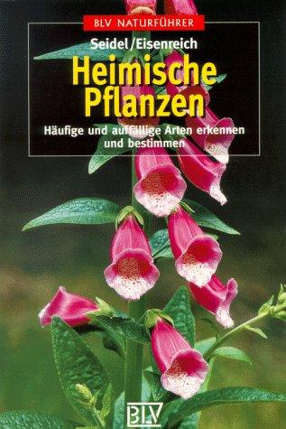 Heimische Pflanzen. Häufige und auffällige Arten erkennen und bestimmen