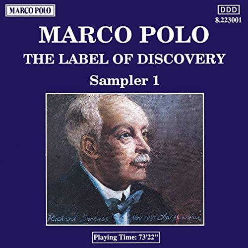 M. P. - The Label Of Discovery