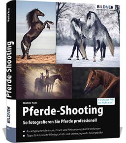 Pferde-Shooting: So fotografieren Sie Pferde professionell