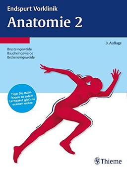 Endspurt Vorklinik: Anatomie 2: Die Skripten fürs Physikum (Reihe Endspurt Vorklinik)