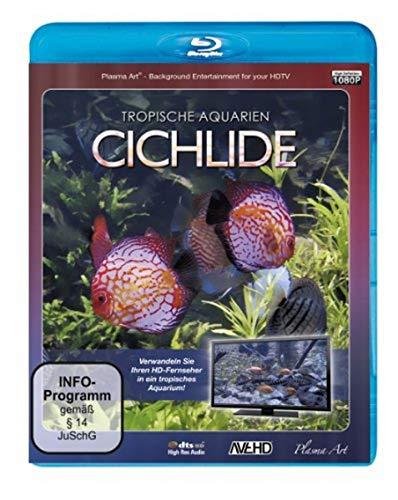 Cichlide - Tropische Aquarien [Blu-ray]