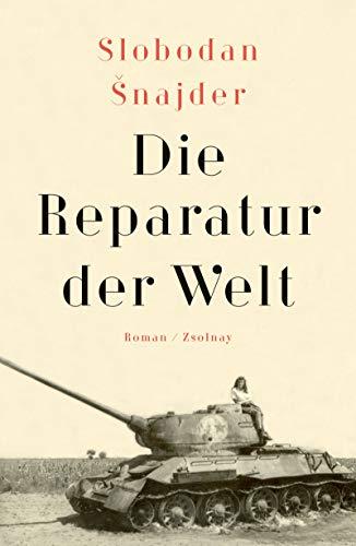 Die Reparatur der Welt: Roman