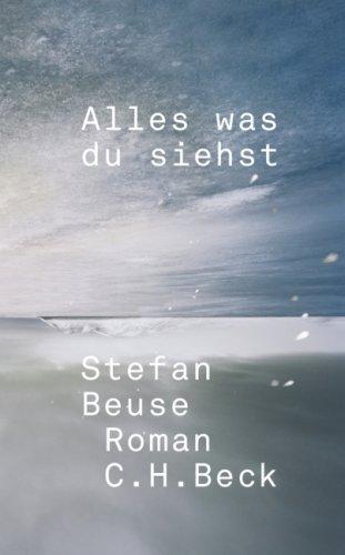 Alles was du siehst: Roman