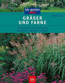 Gräser und Farne: Die schönsten Arten und Sorten Auswählen • Gestalten • Pflegen