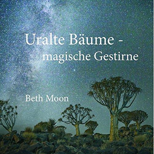 Uralte Bäume - magische Gestirne