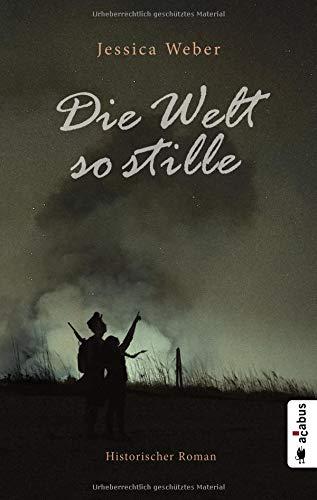 Die Welt so stille: Historischer Roman aus dem Deutsch-Dänischen Krieg