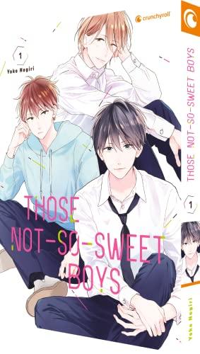 Those Not-So-Sweet Boys – Band 1