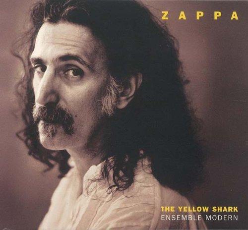 Yellow Shark