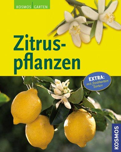 Zitruspflanzen: Extra: mit frostharten Sorten